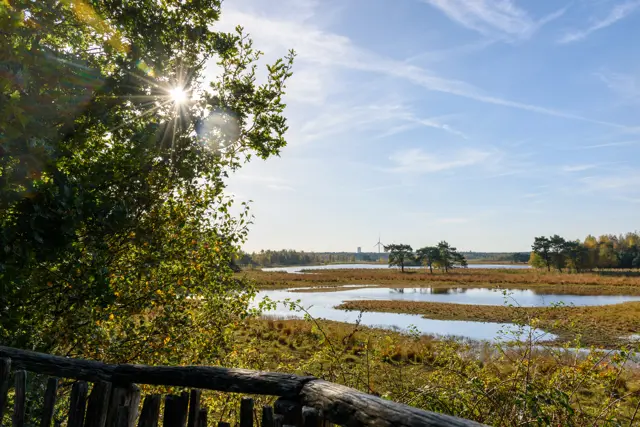 Natuurgebied Huis ter Heide in De Moer