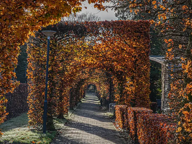 Beukenlaantje Wandelpark spreekwoordenroute.jpg