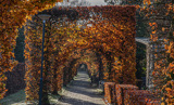 Beukenlaantje Wandelpark spreekwoordenroute