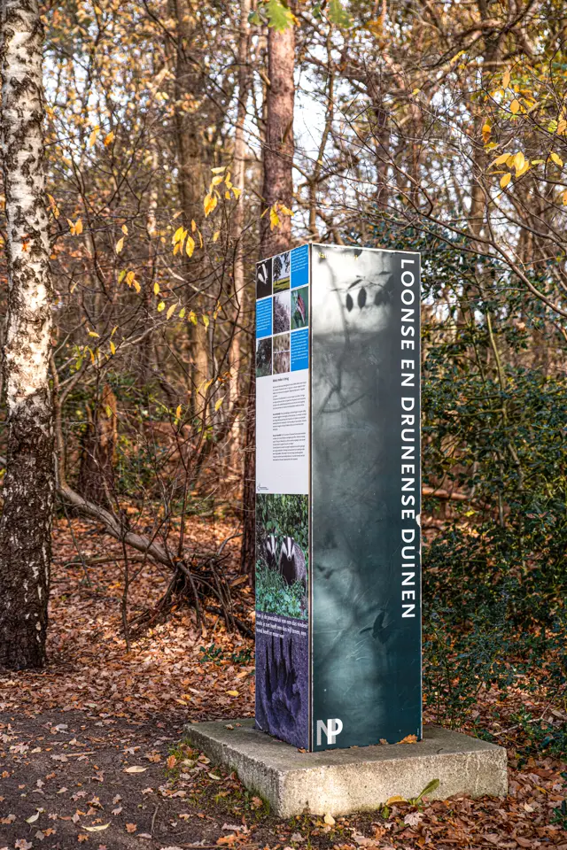 Natuurpoort Van Loon 4
