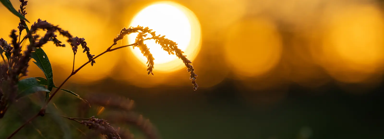 Zonsondergang