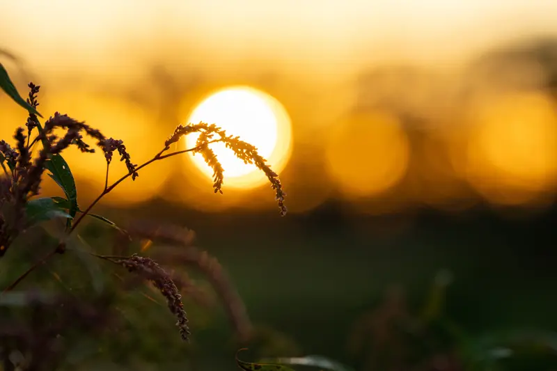 Zonsondergang