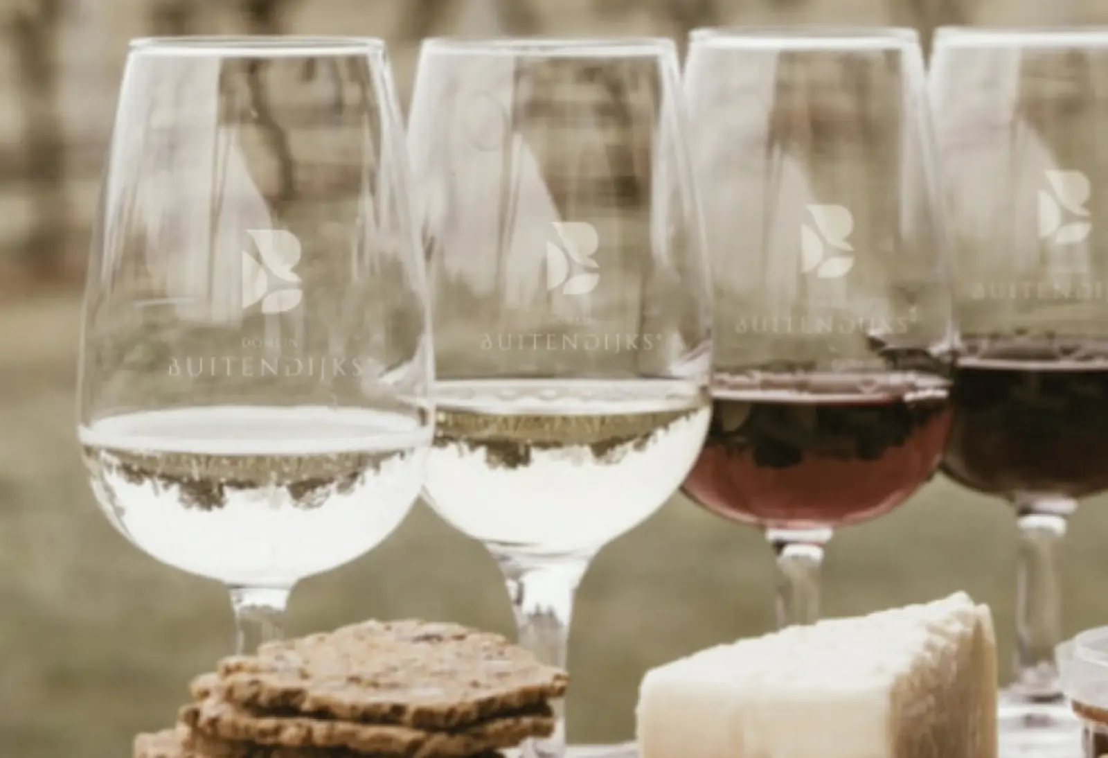 wijnen domein buitendijks.png