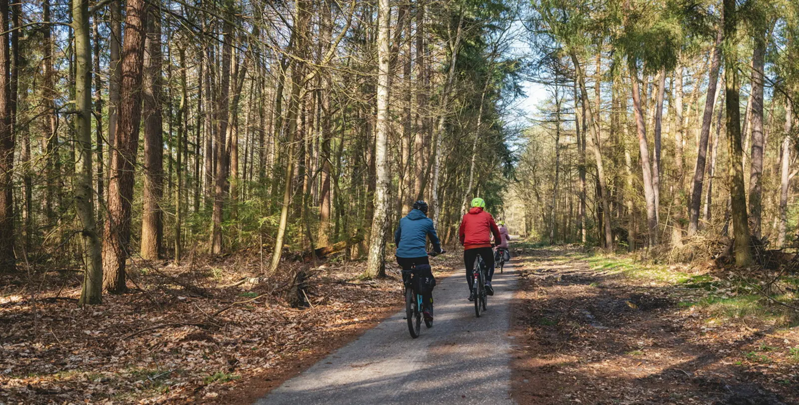 Fietsen door De Langstraat in de herfst.jpg