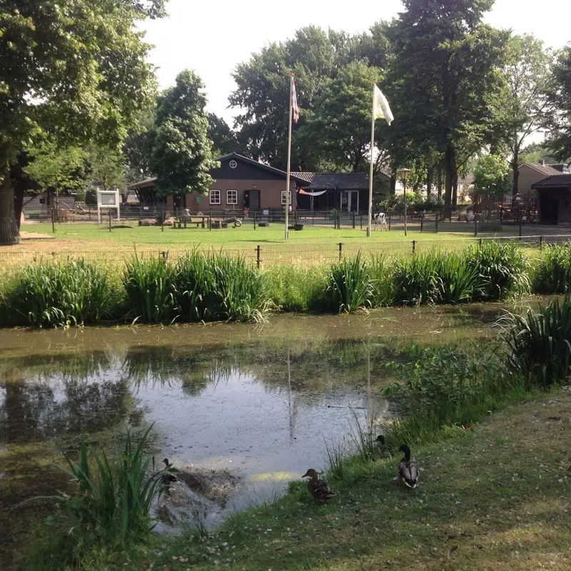 waalwijk-kinderboerderij-t-erf-2-4167611708_3643144123.jpeg