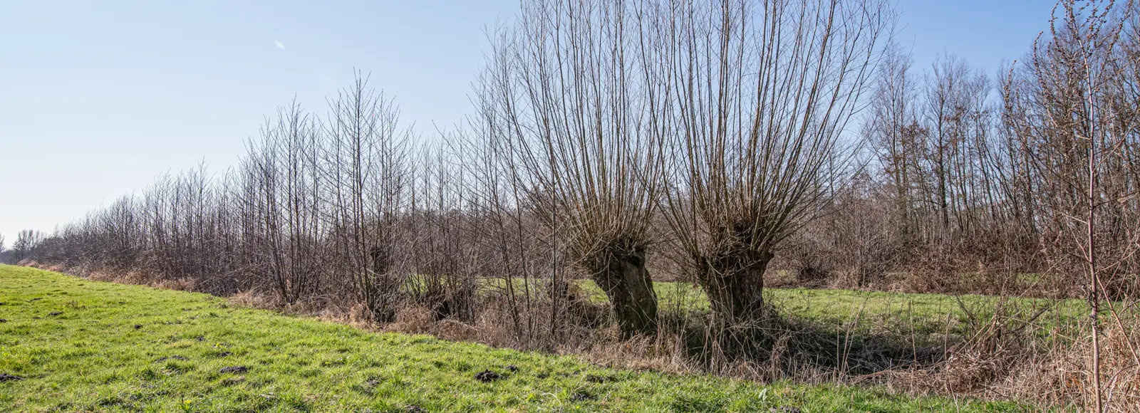 Slagenlandschap Waalwijk