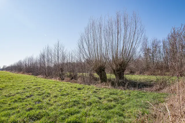 Slagenlandschap Waalwijk