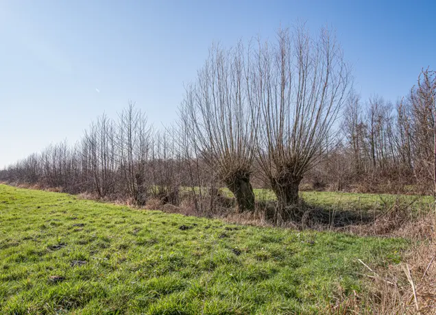 Slagenlandschap Waalwijk