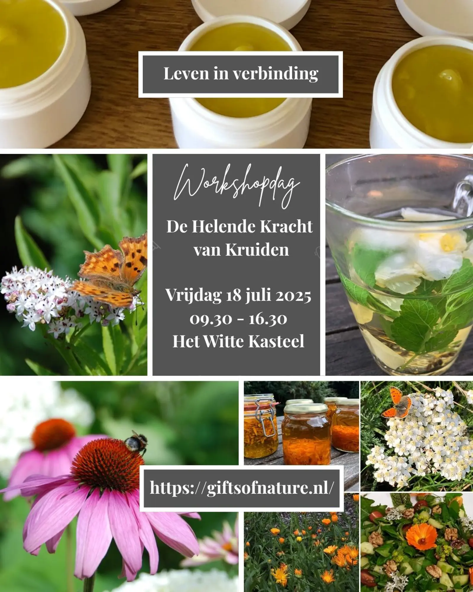 post_de_helende_kracht_van_kruiden_18_juli_2025_2_.jpg