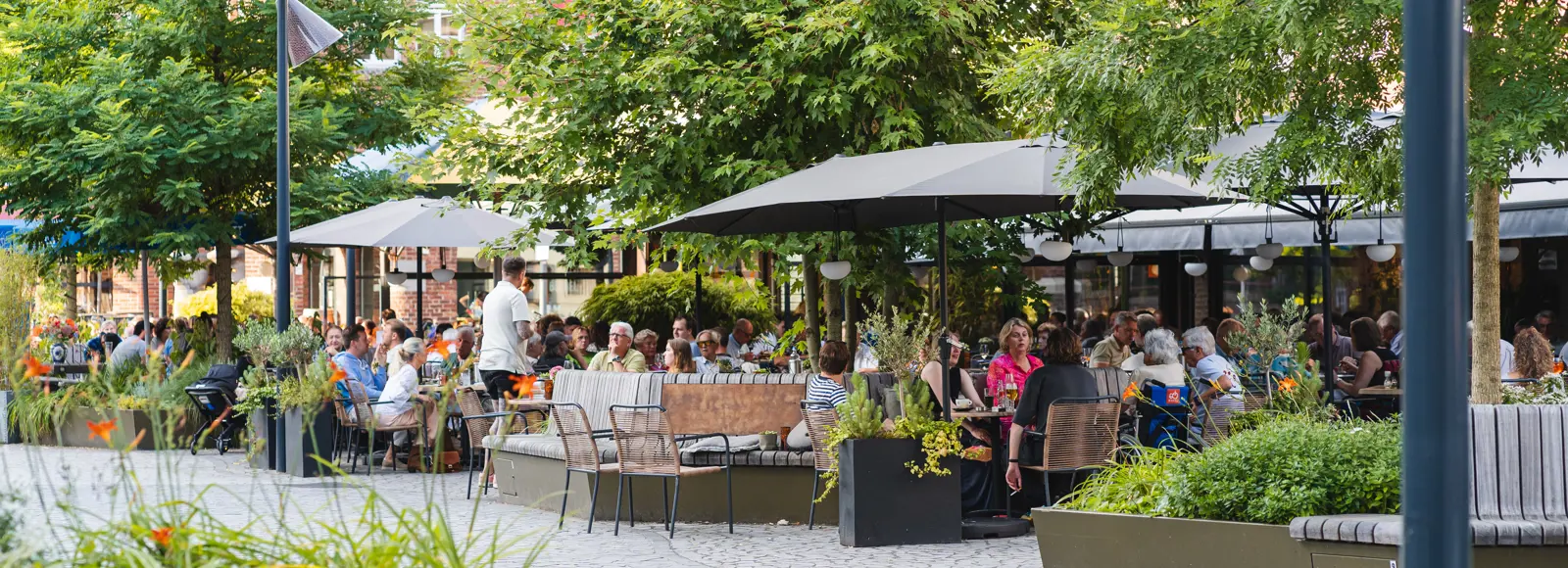 Terrassen Waalwijk 2