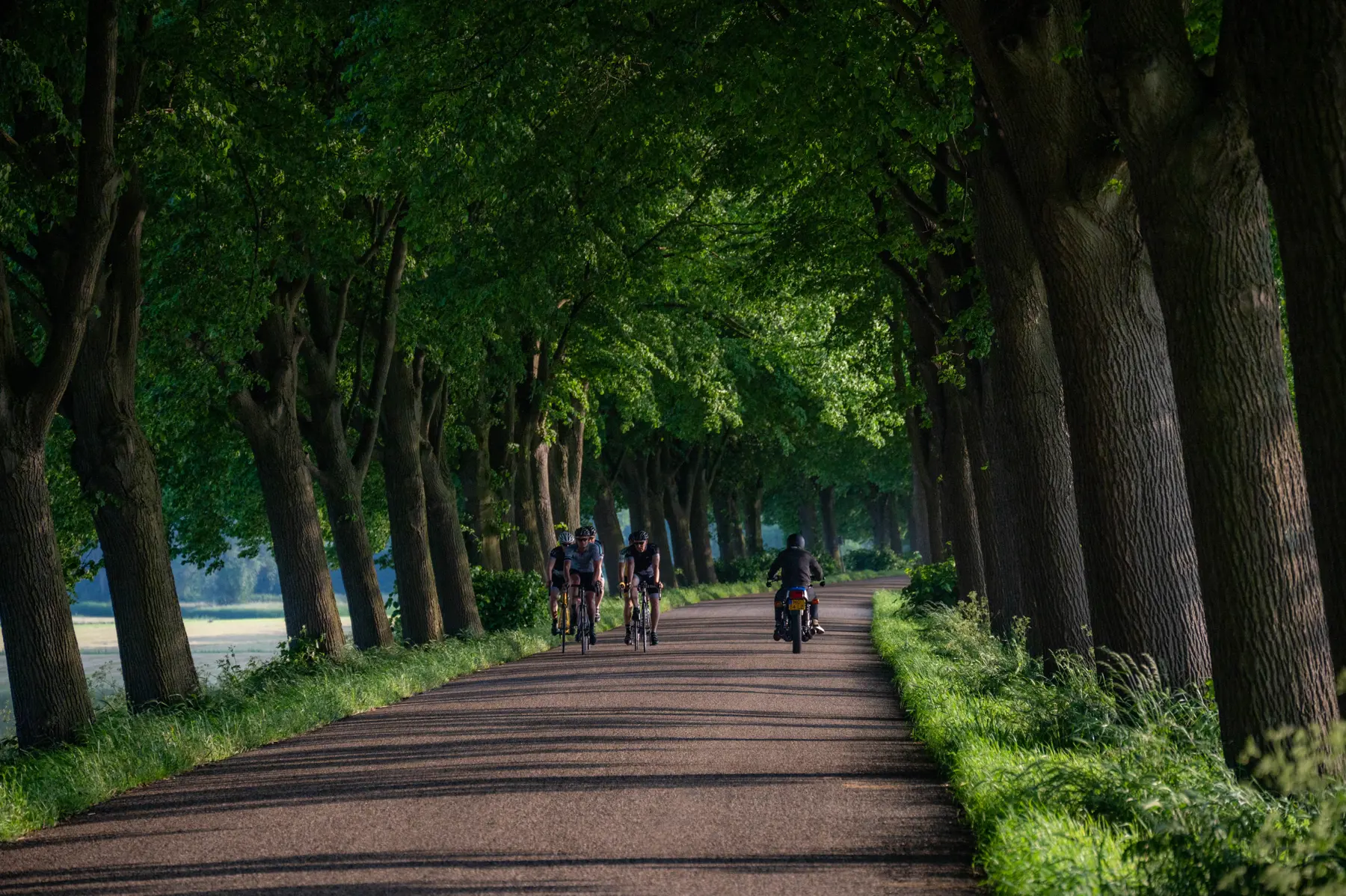 Aan de Maas Fietsen-Motorrijden-1.jpg