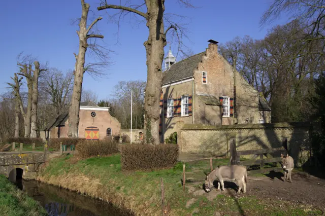 KASTEEL ZUIDEWIJN.png