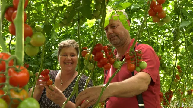 Natuurlijk Henriette Tomaat 1.png (1)