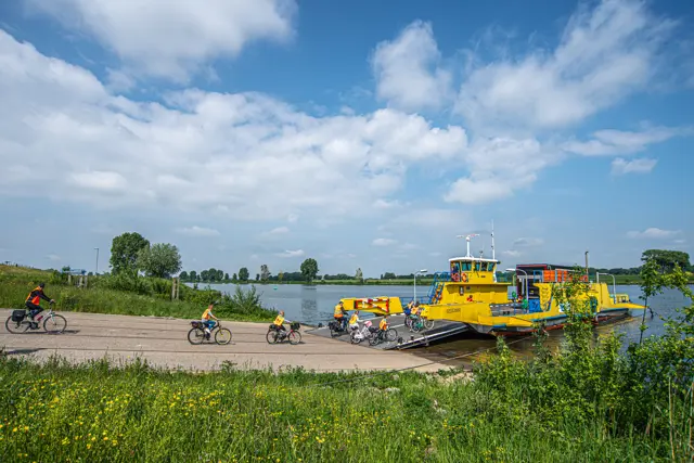 Pontje van de Bergsche Maas bij Herpt