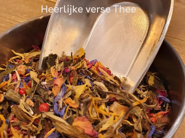 Bij Jenneke 3.png
