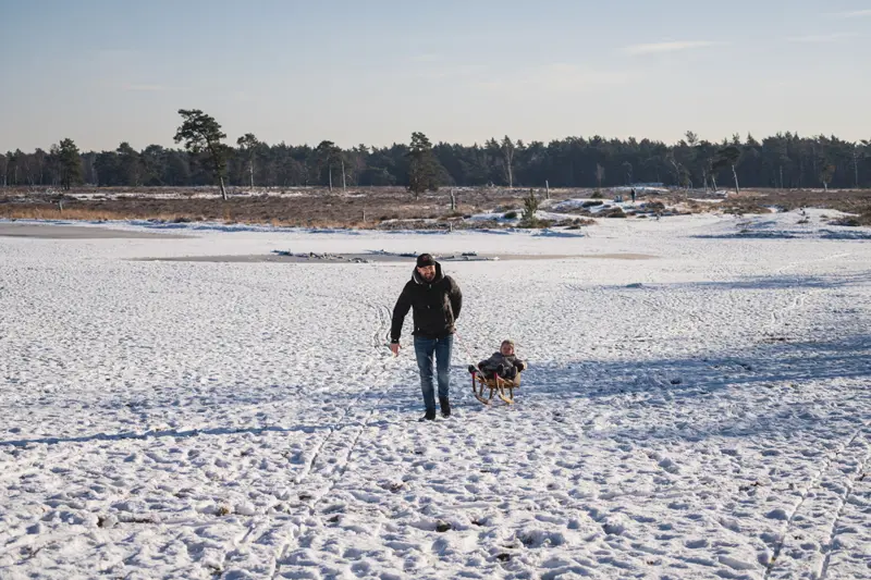 sneeuw in de loonse en drunense duinen.jpg
