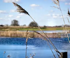 Vlijmens Ven water