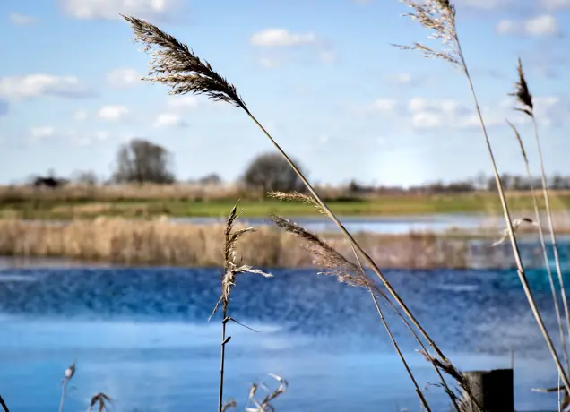 Vlijmens Ven water