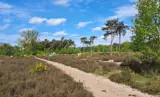 Pag. 34 Kaatsheuvel Rondje Efteling Loonse land.jpg