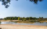 Water in de Loonse en Drunense Duinen
