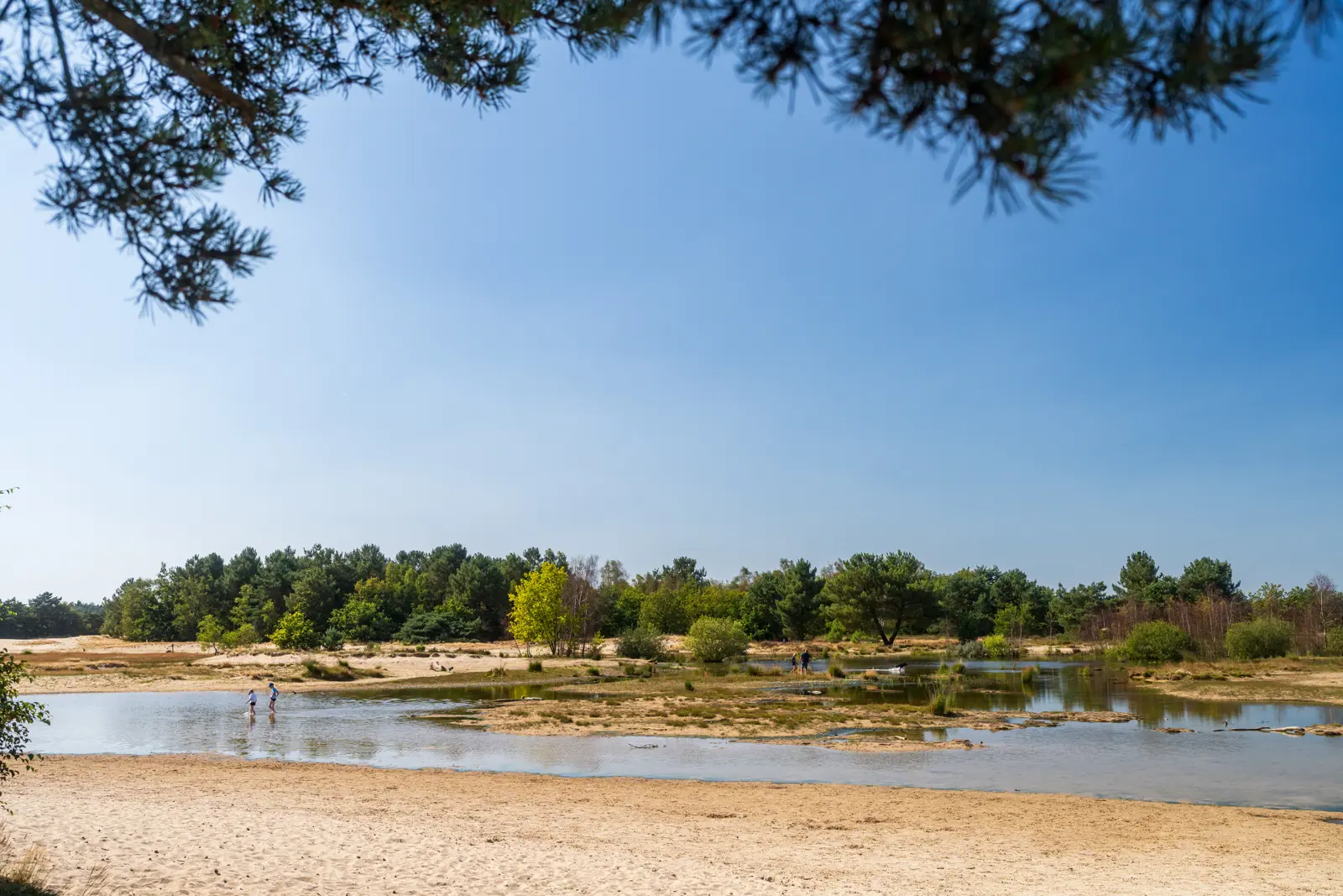 Water in de Loonse en Drunense Duinen