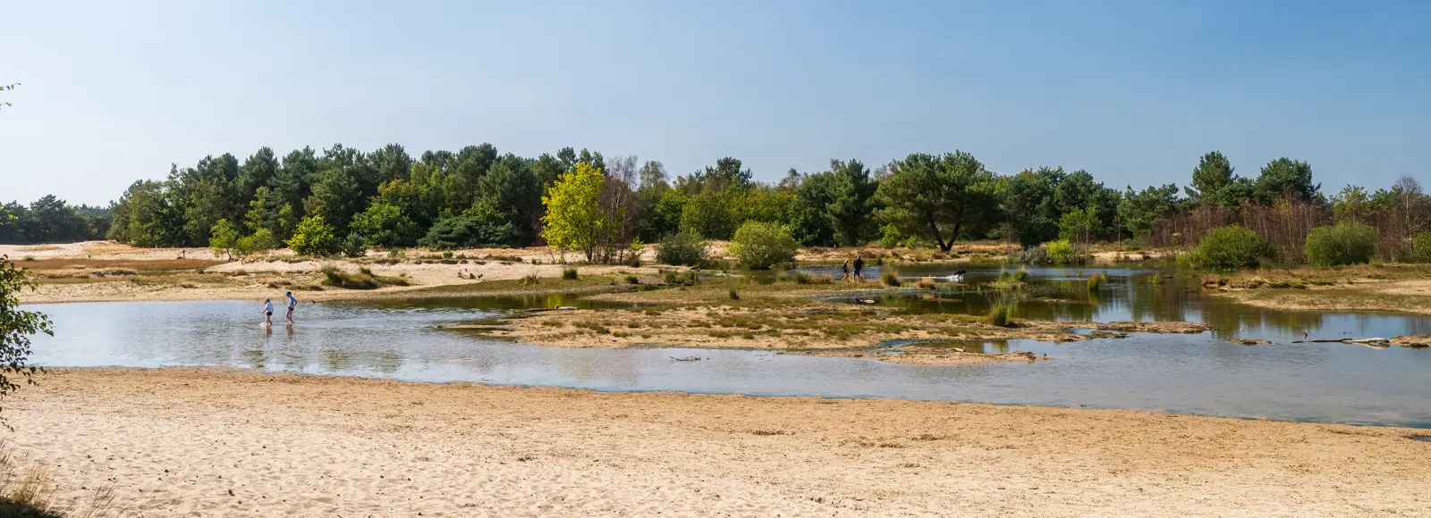 Water in de Loonse en Drunense Duinen