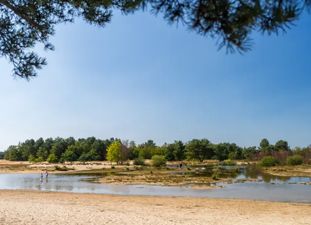 Water in de Loonse en Drunense Duinen