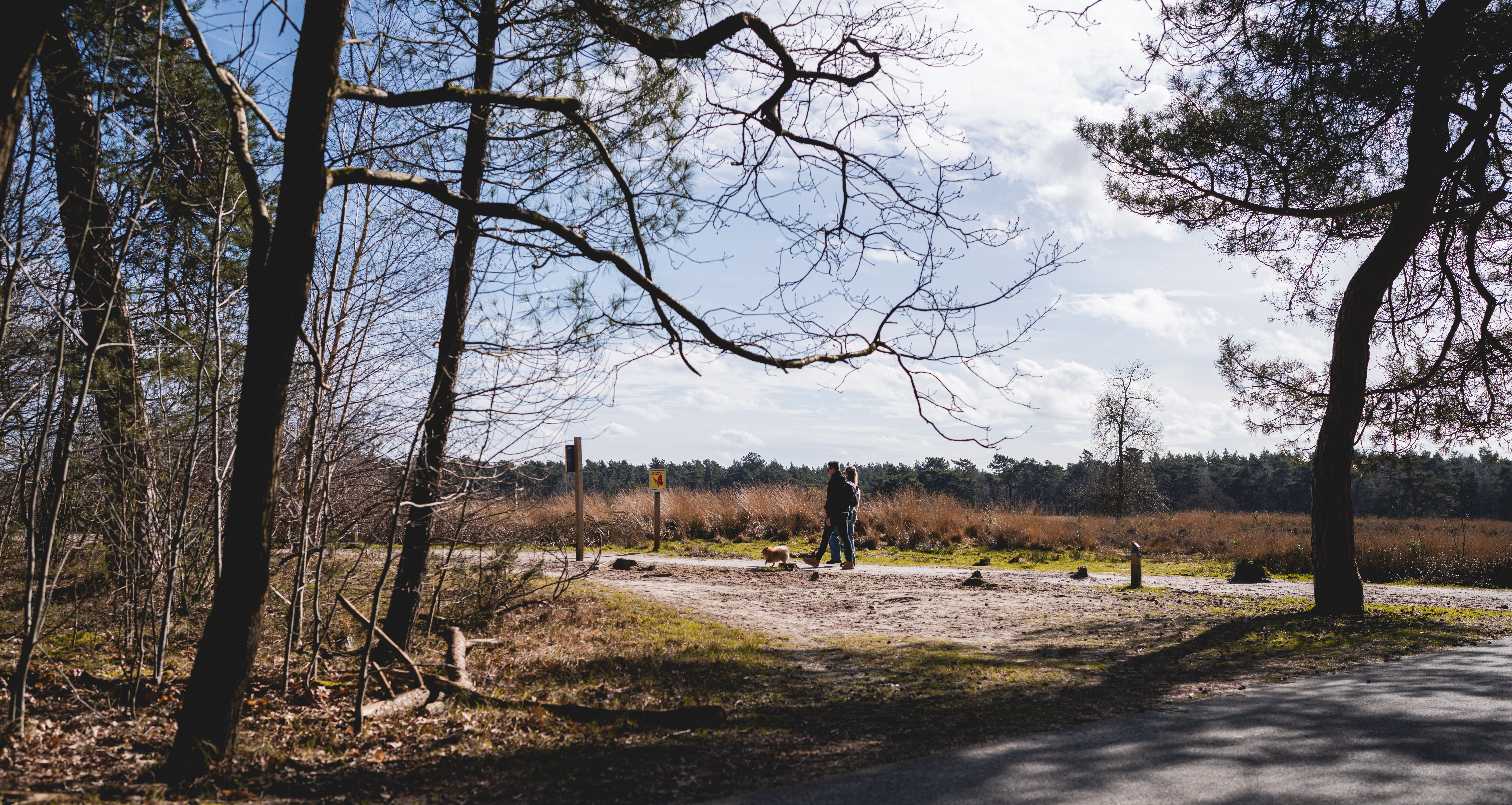 Wandelen in de natuur 4.jpg