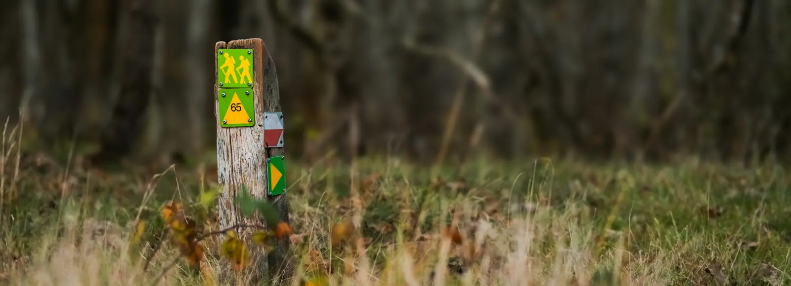 Wandelen in de natuur 3.jpg